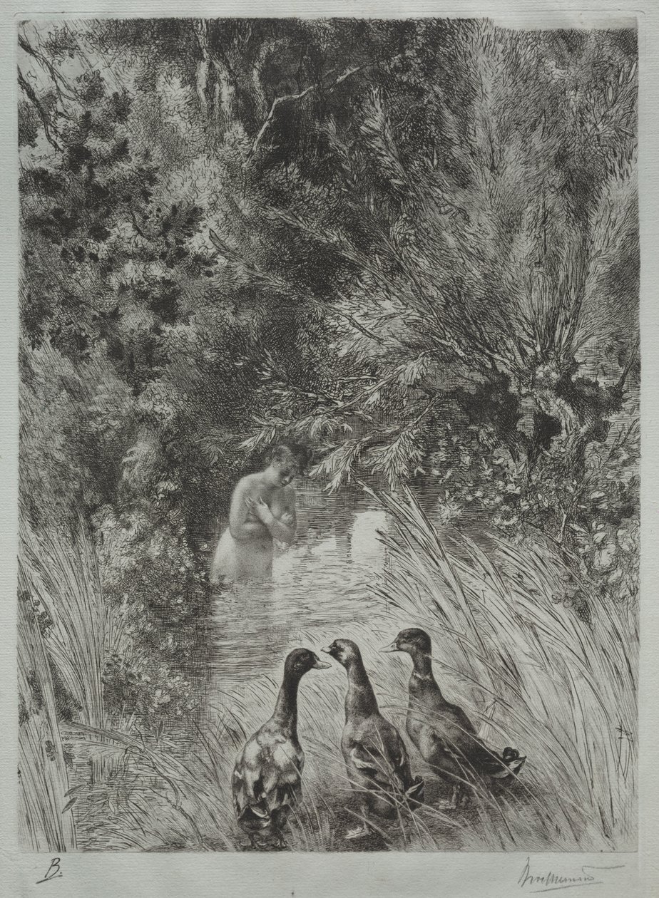 De Verraste Eenden door Felix Bracquemond