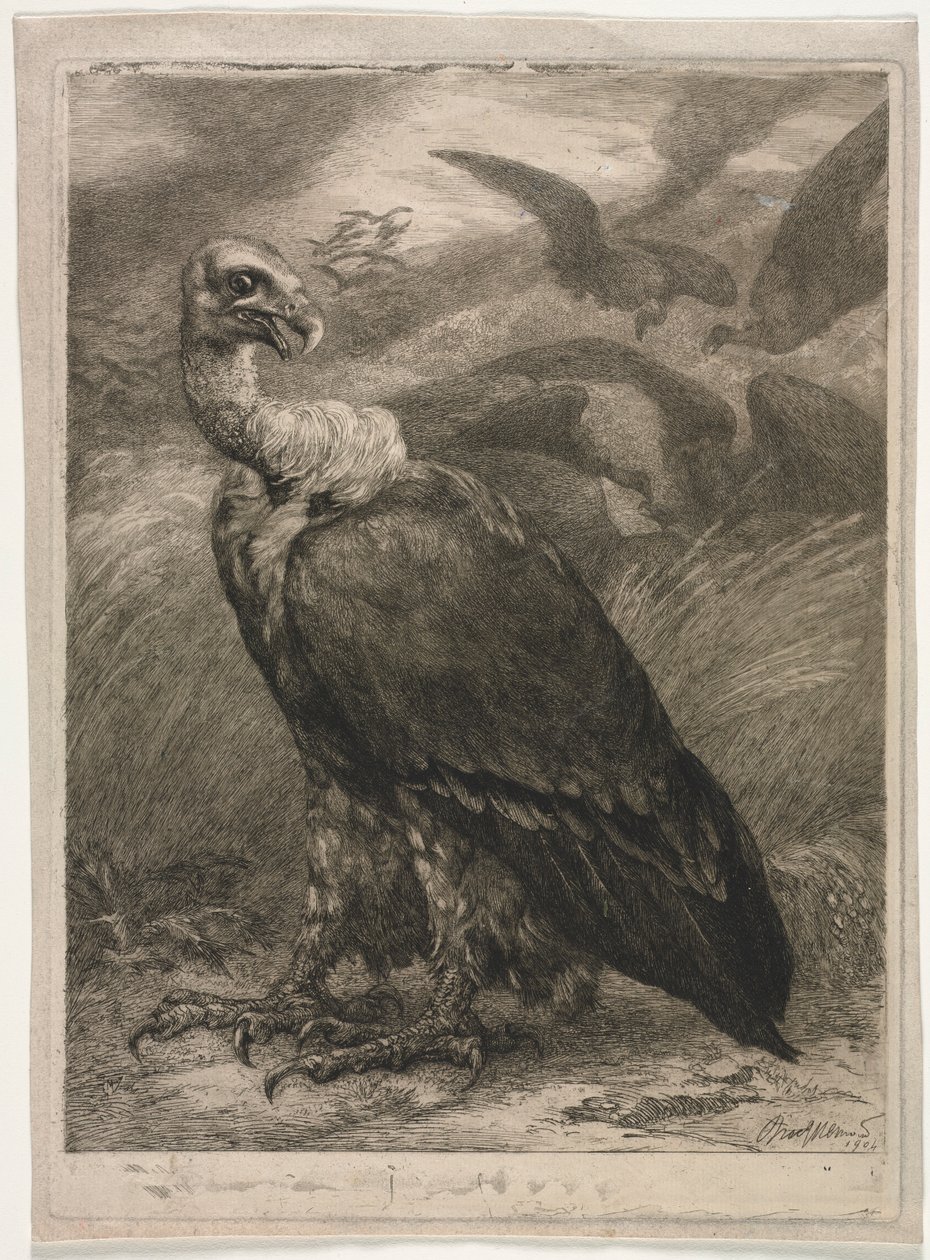 Gier, 1904 door Felix Bracquemond