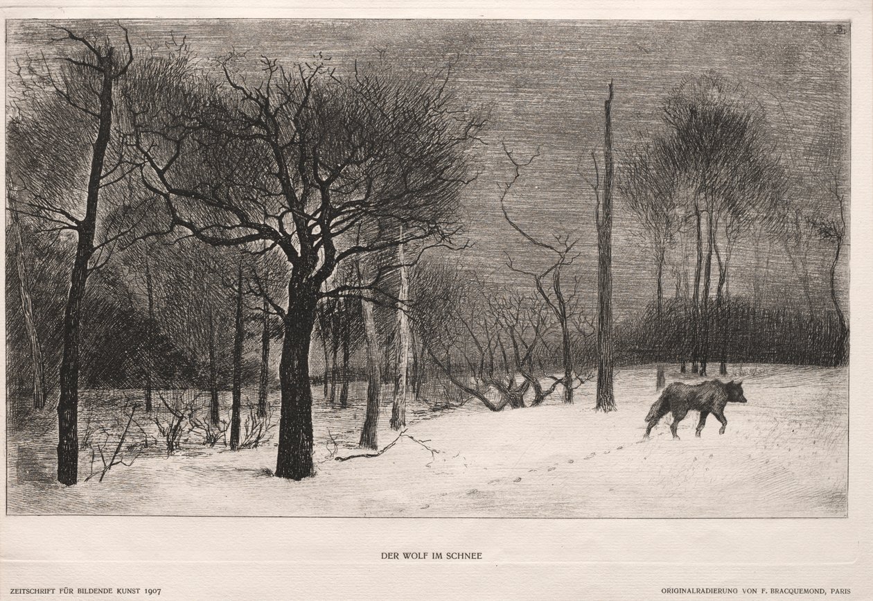 Winter door Felix Bracquemond