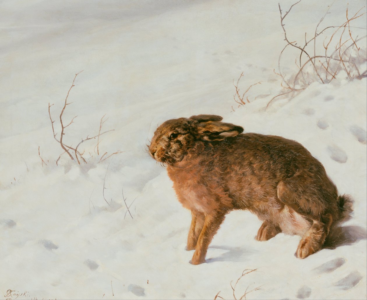 Haas in de sneeuw door Louis Ferdinand von Rayski