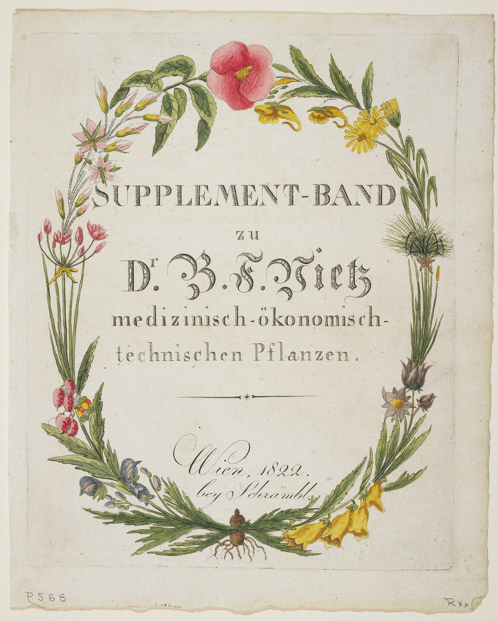 Frontispice en titelpagina van Supplement-Band zu Dr. B. F. Vietz medizinisch-okonomisch-technischen Pflanzen door Ferdinand Bernhard Vietz