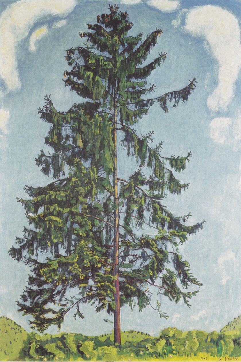 Spar bij Chamby door Ferdinand Hodler