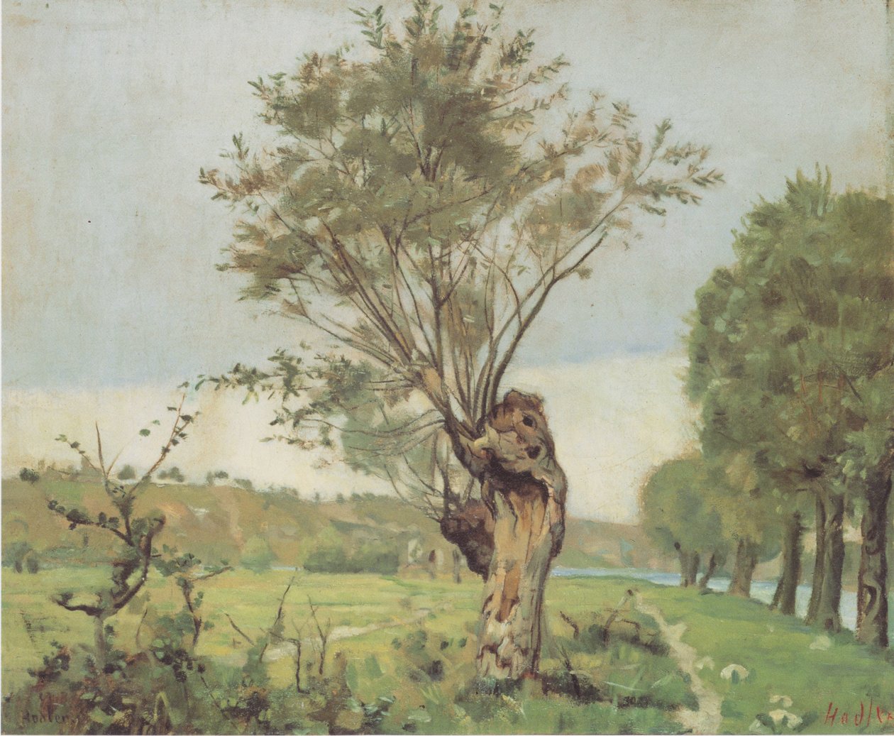Wilgen bij de Jonction bij Genève door Ferdinand Hodler