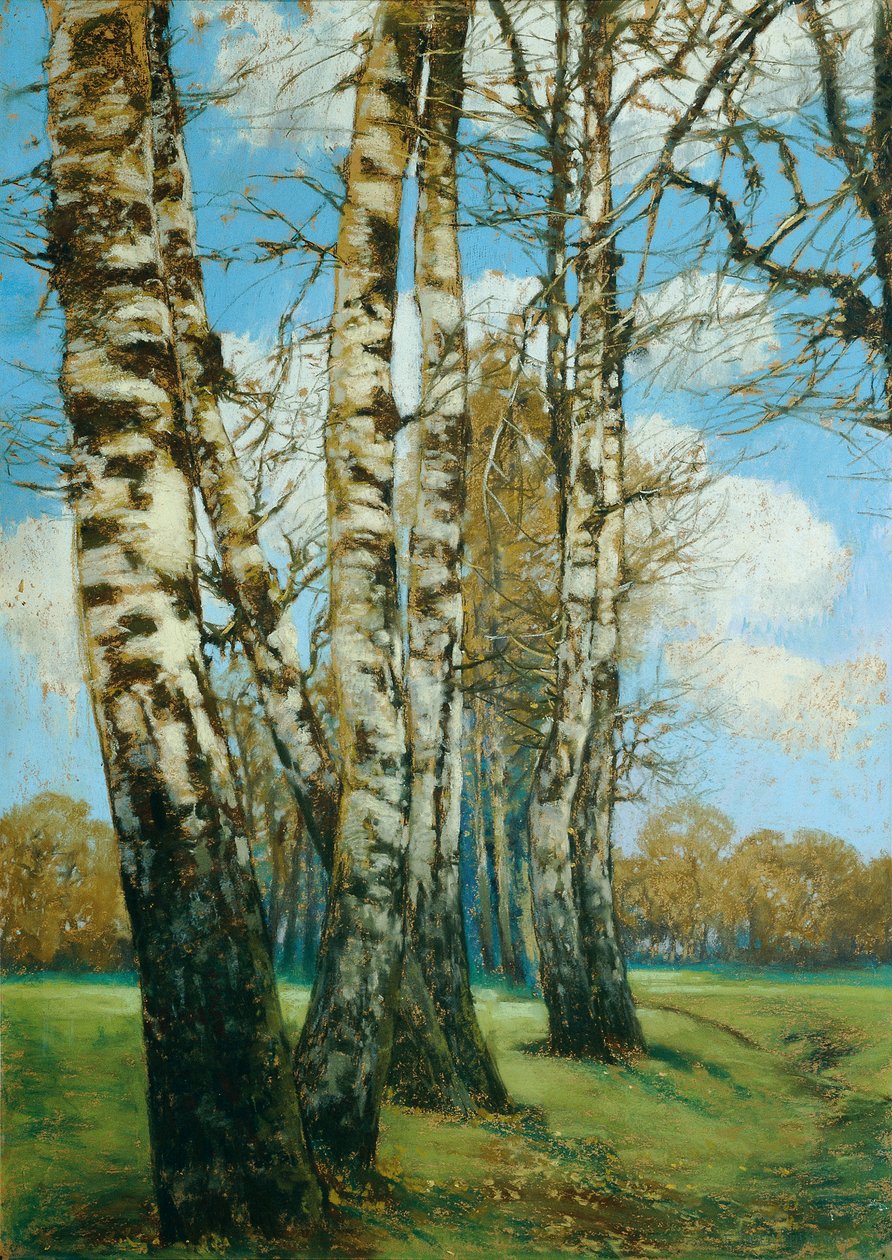Berken door Ferdinand Engelmuller