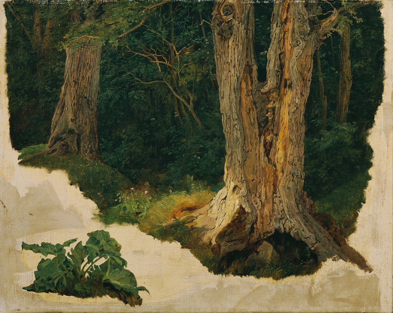 Boomstudie door Ferdinand Georg Waldmuller