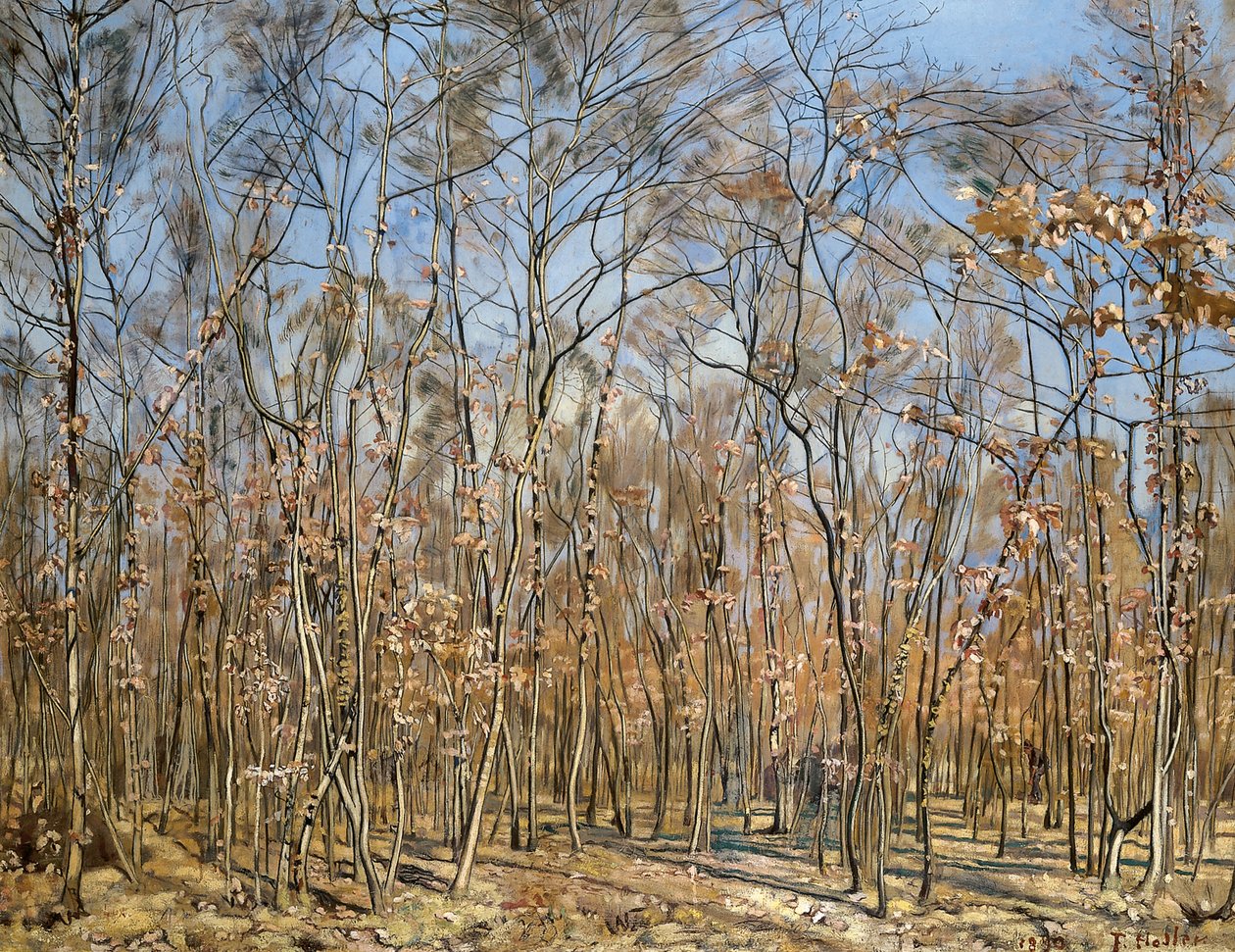 Beukenbos door Ferdinand Hodler