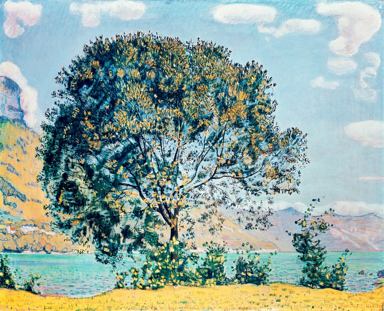 Onbekend Beeld door Ferdinand Hodler