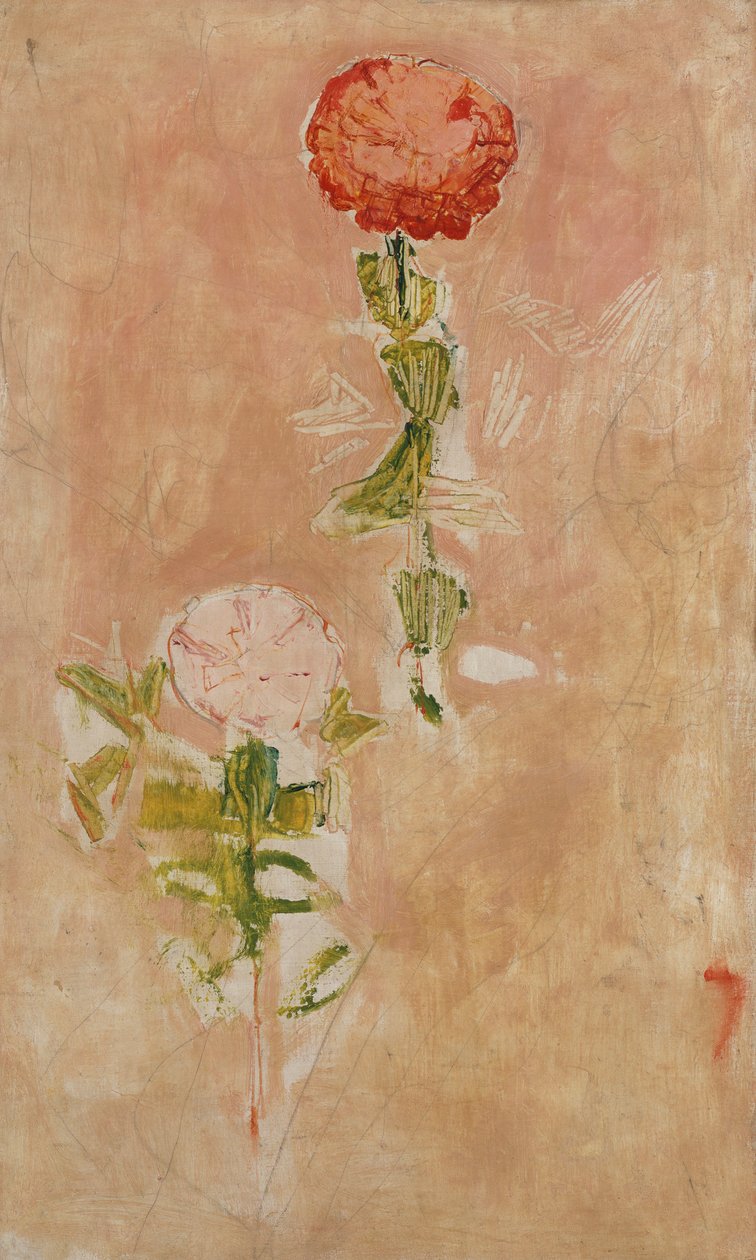 Zynien, Studie door Ferdinand Hodler