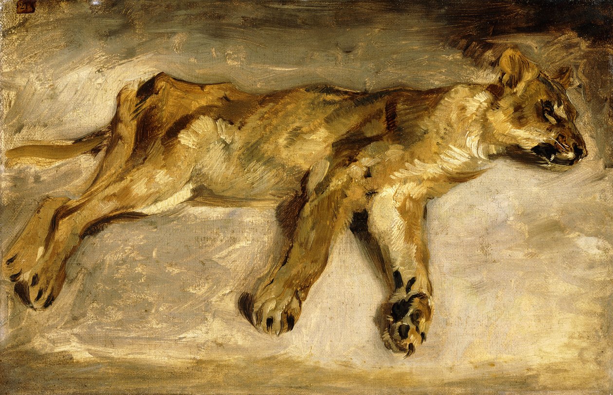 Een Slapende Leeuwin, c.1830 door Ferdinand Victor Eugene Delacroix