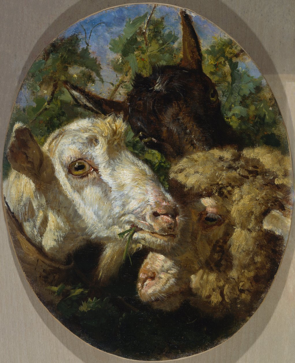Dierenkoppen door Filippo Palizzi