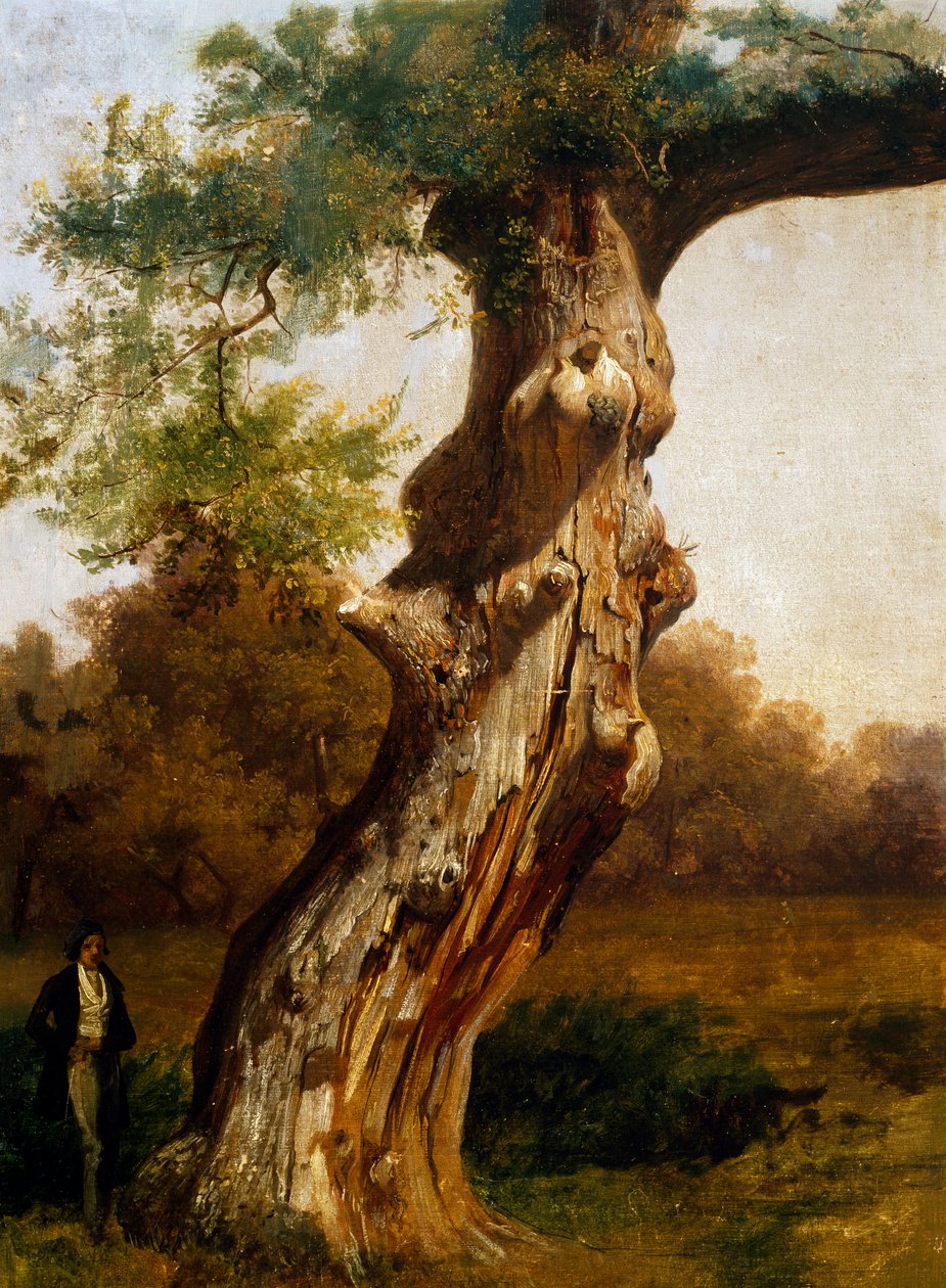 De boom door Filippo Palizzi