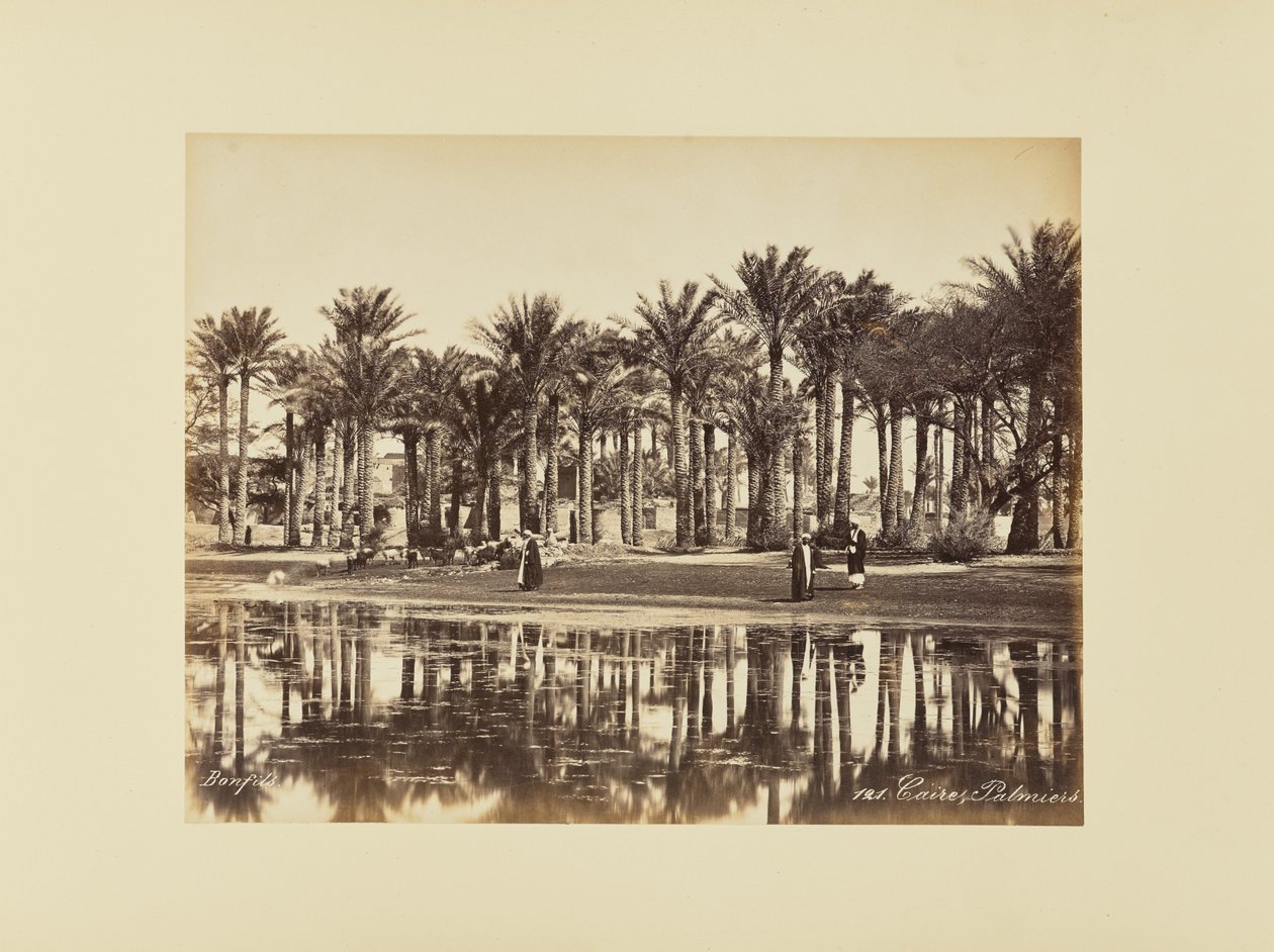 Caïro, Palmbomen door Félix Bonfils