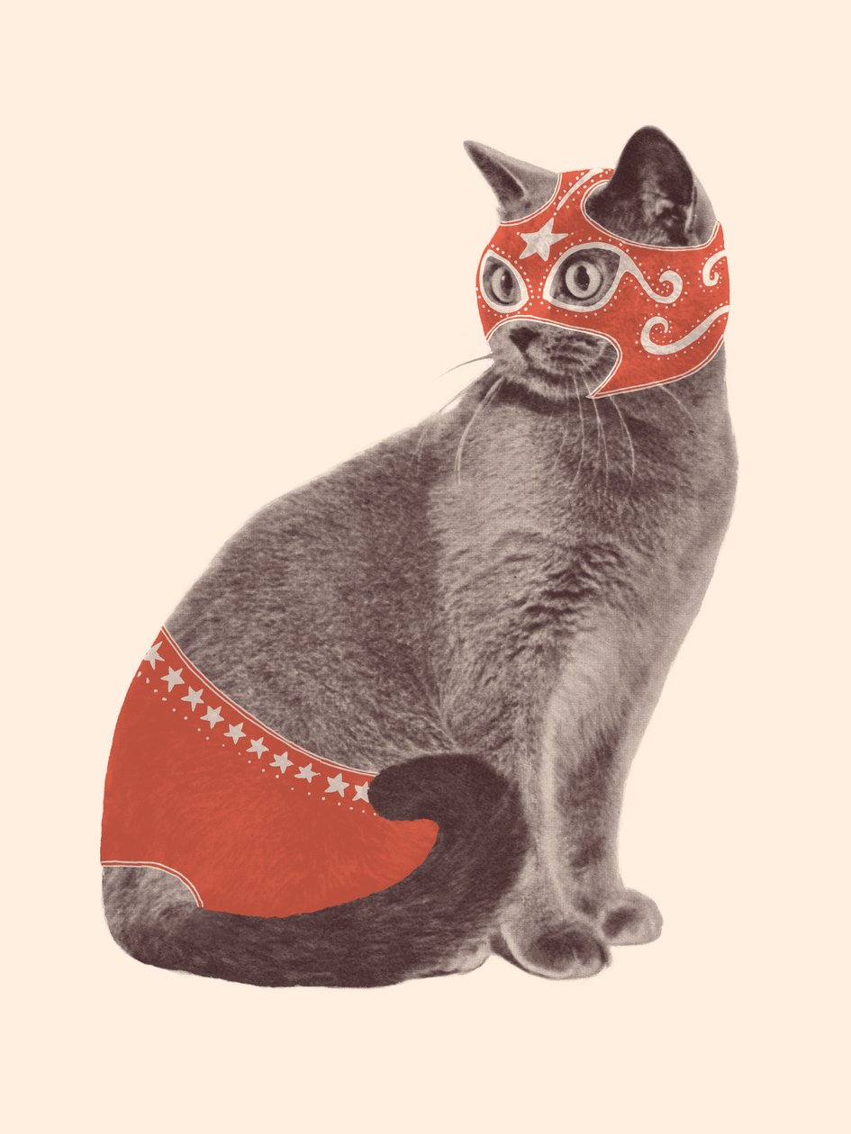 Kattenworstelaar door Florent Bodart