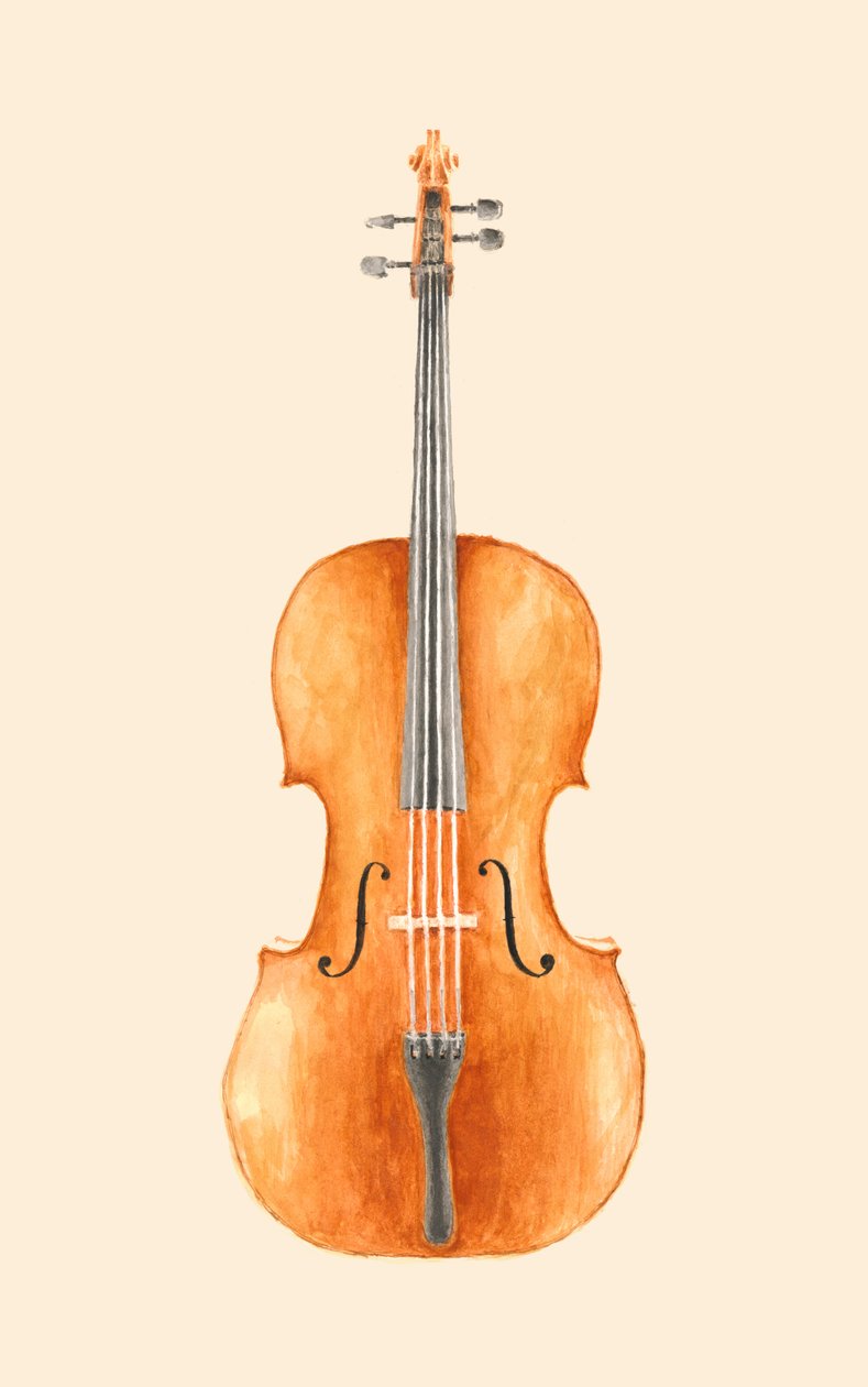 Cello door Florent Bodart