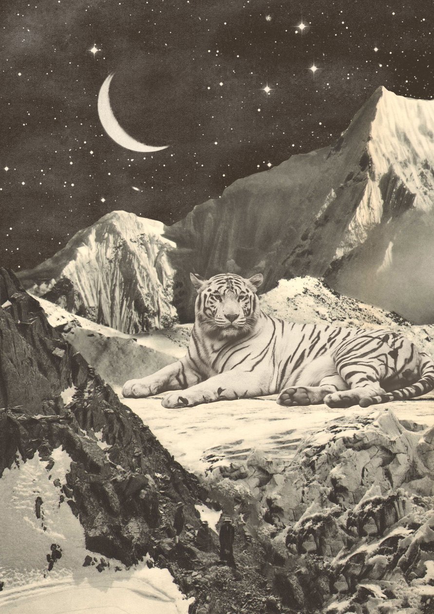 Gigantische witte tijger in bergen door Florent Bodart