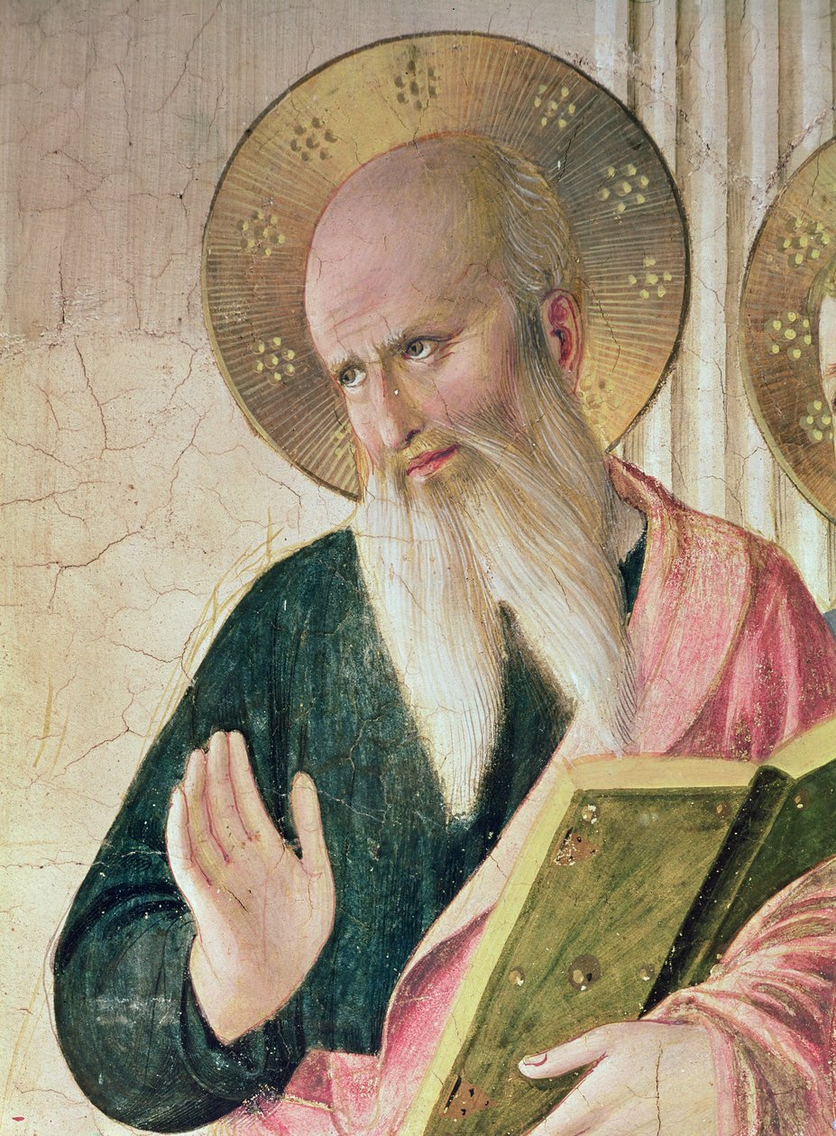 Madonna van de Schaduw of Maagd en Kind tussen Sint Dominicus, Cosmas, Damianus, Marcus, Johannes de Evangelist, Thomas van Aquino, Laurentius en Pierre de martelaar (detail van Sint Johannes de Evangelist) door Fra Angelico