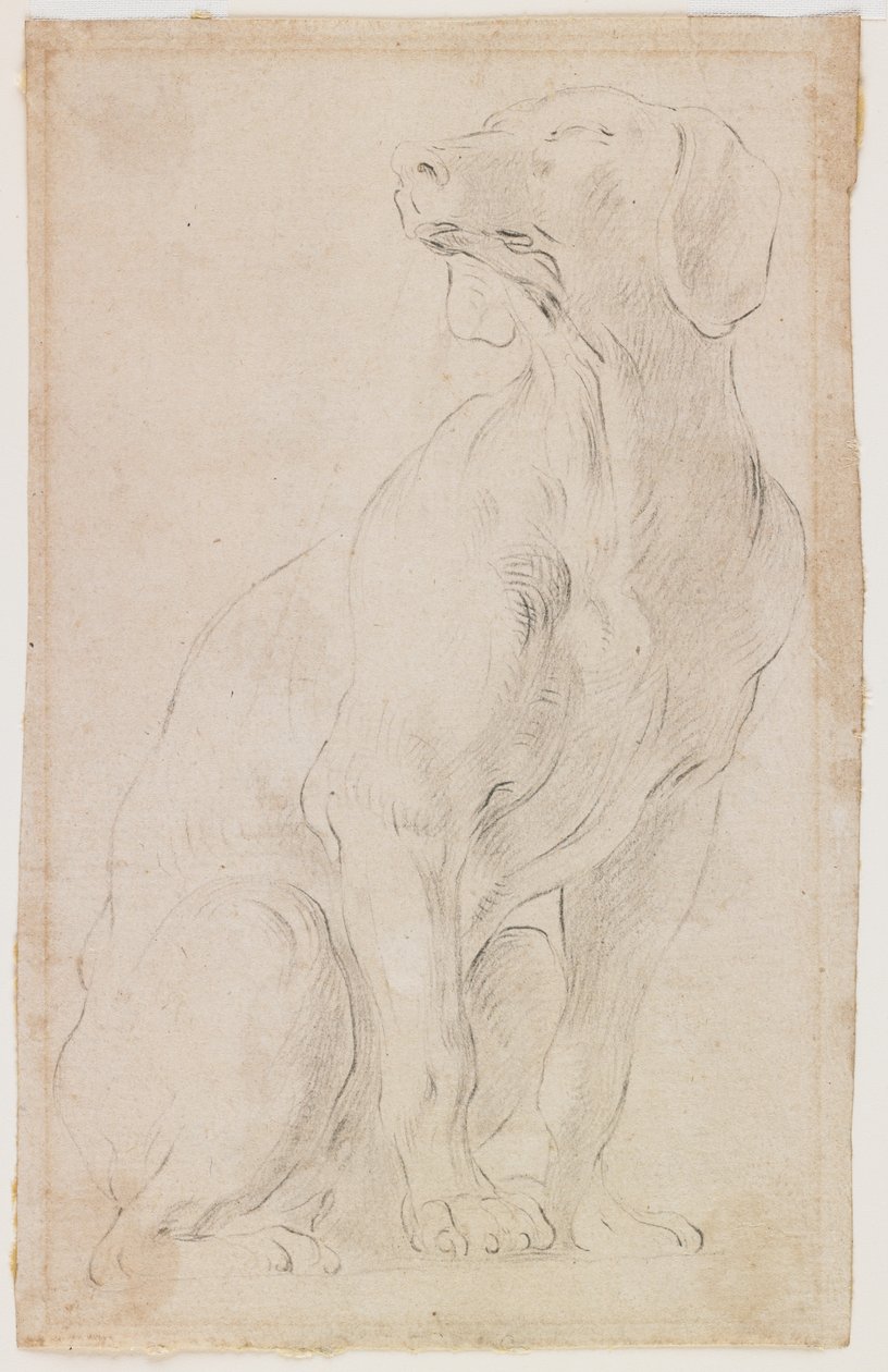 Zittende hond, 1710-15 door Francesco Solimena