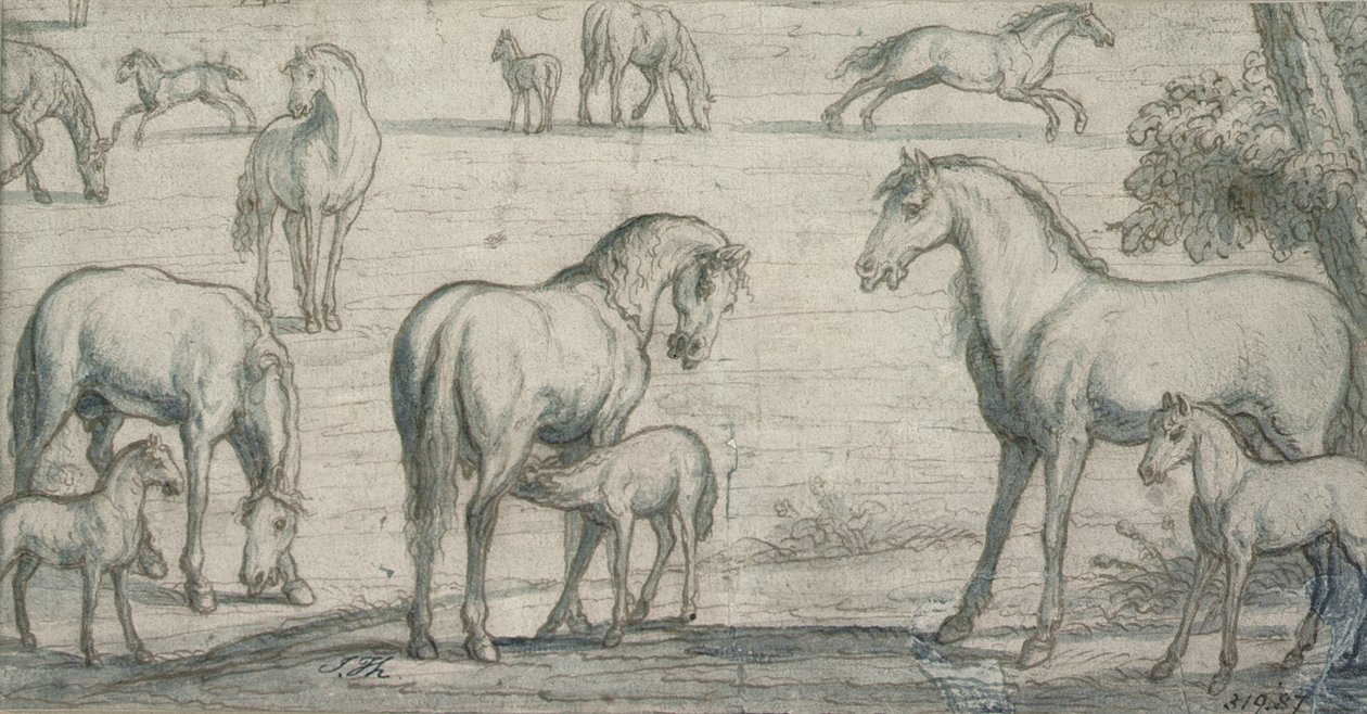 Merries en Veulens door Francis Barlow
