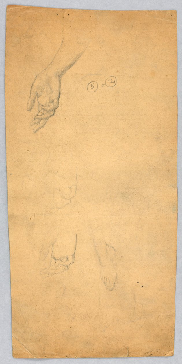 Studies van Handen en een Voet door Francis Augustus Lathrop