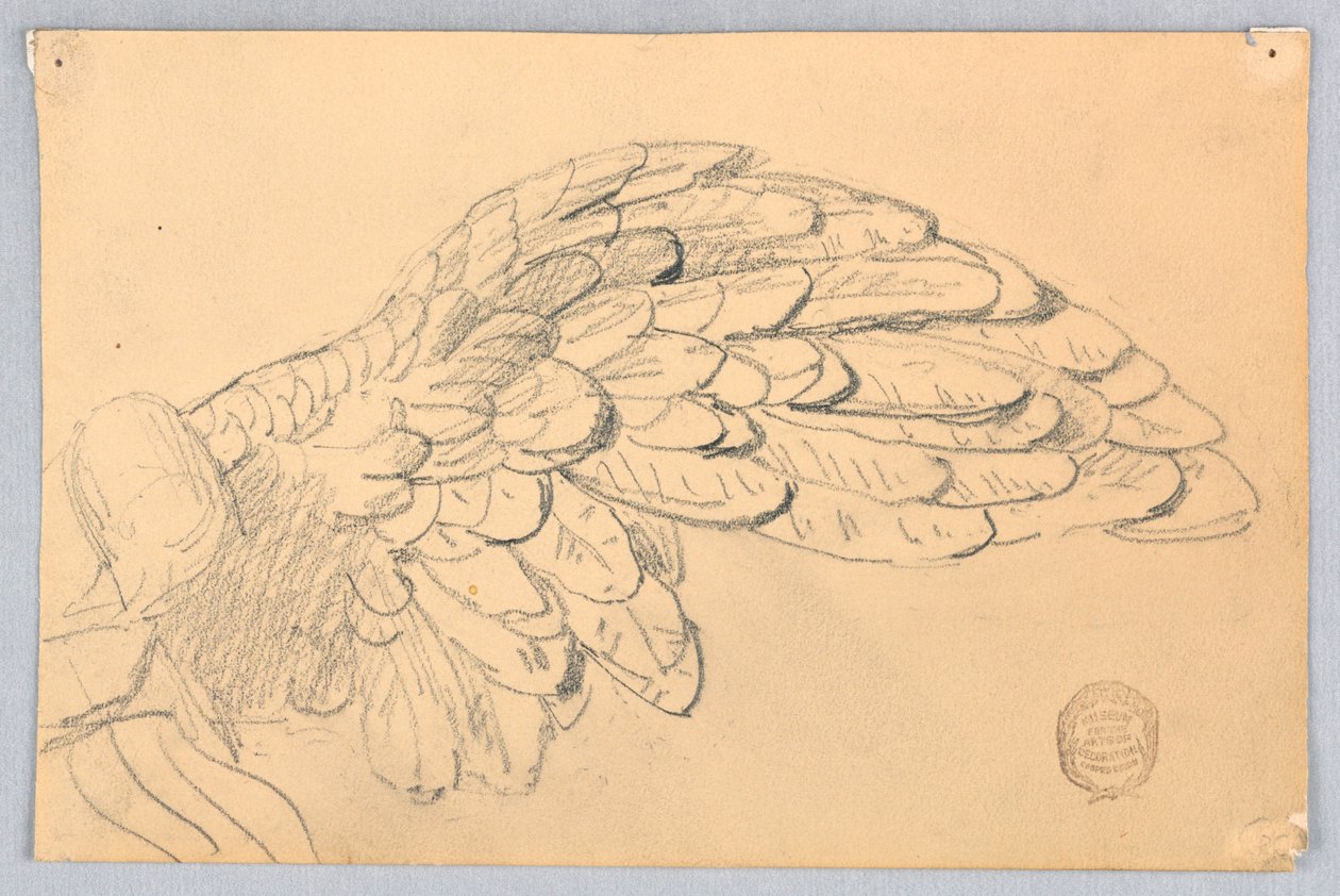 Studie van een vleugel door Francis Augustus Lathrop