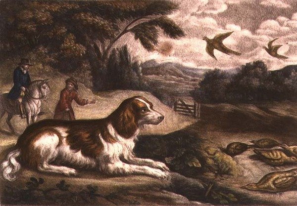 Jachtscène door Francis Barlow