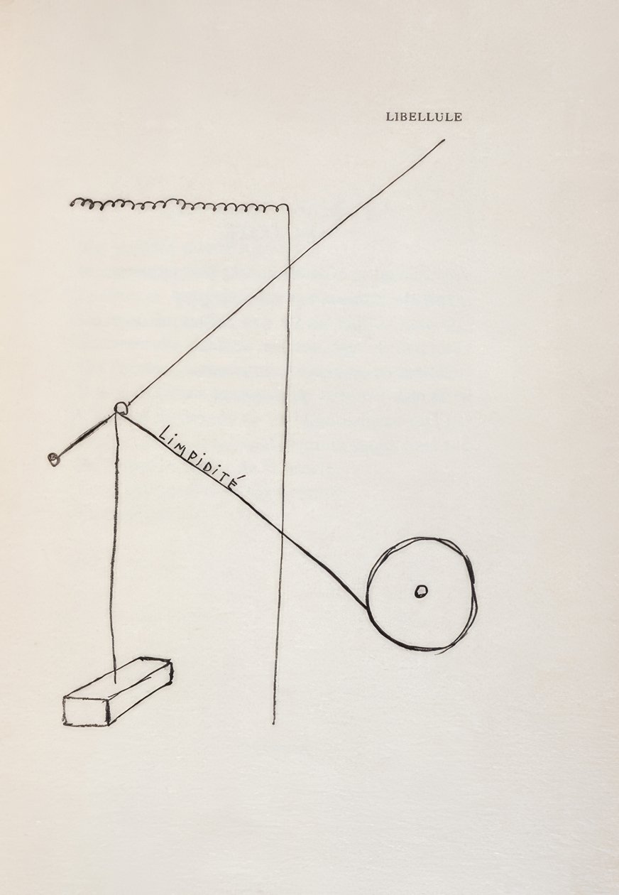 Libelle door Francis Picabia