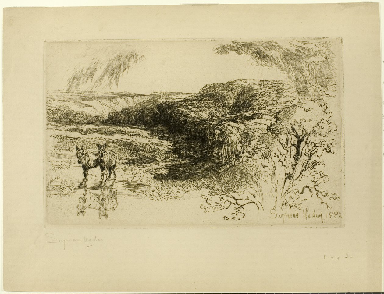 Encombe Woods, Nr. II door Francis Seymour Haden
