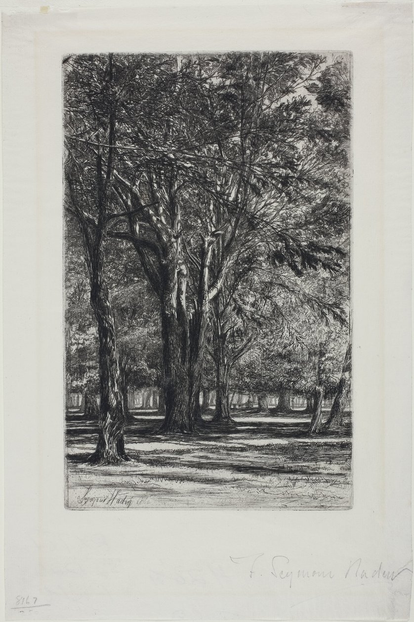 Kensington Gardens, No. II (grote plaat) door Francis Seymour Haden