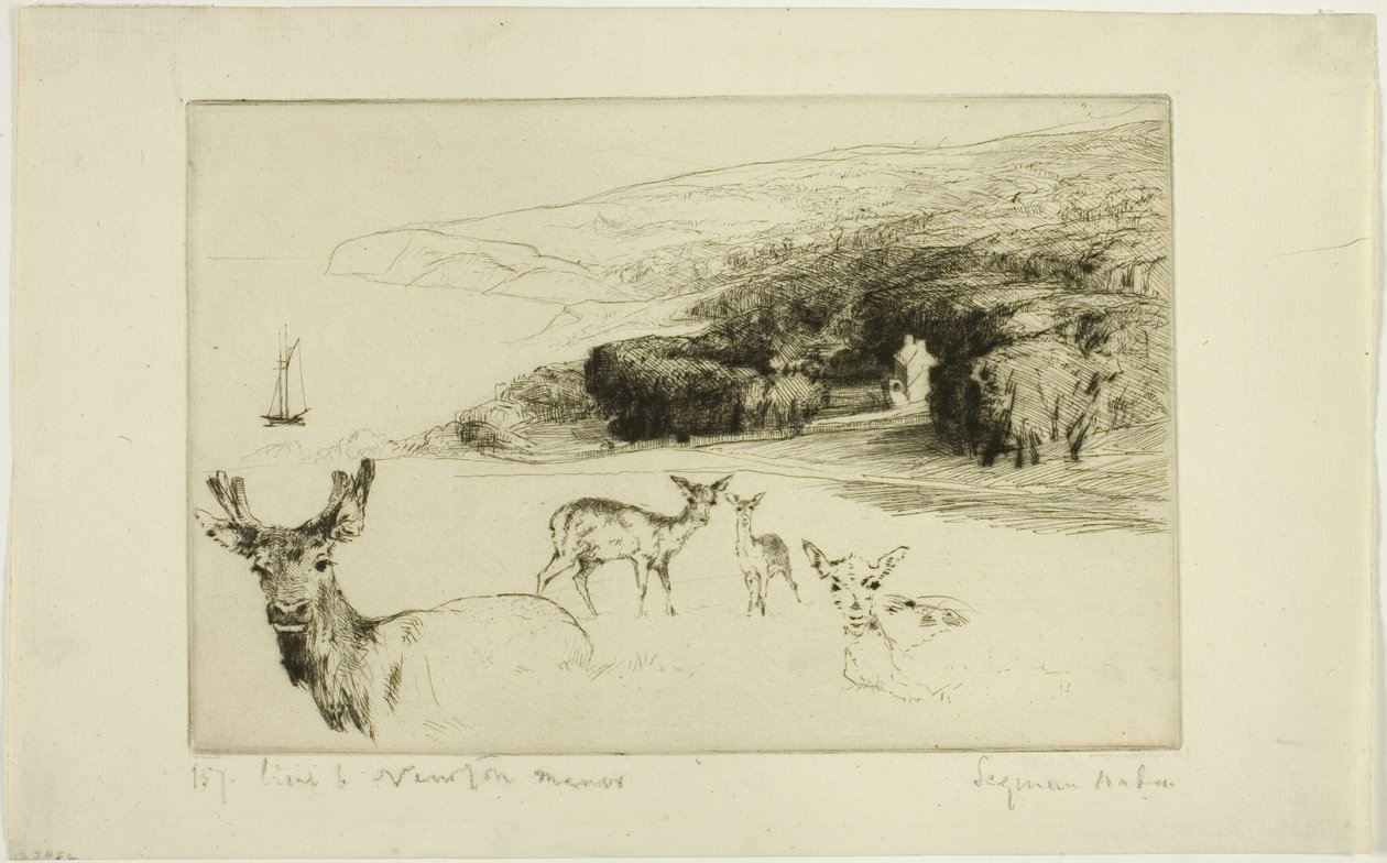 Newton Manor door Francis Seymour Haden