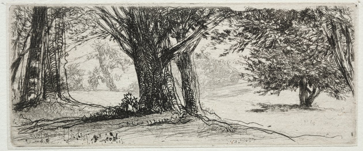 Het Hulstveld door Francis Seymour Haden