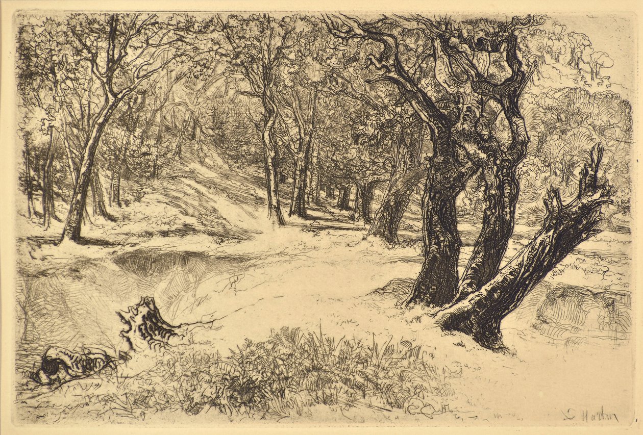 De Drie Zusters door Francis Seymour Haden