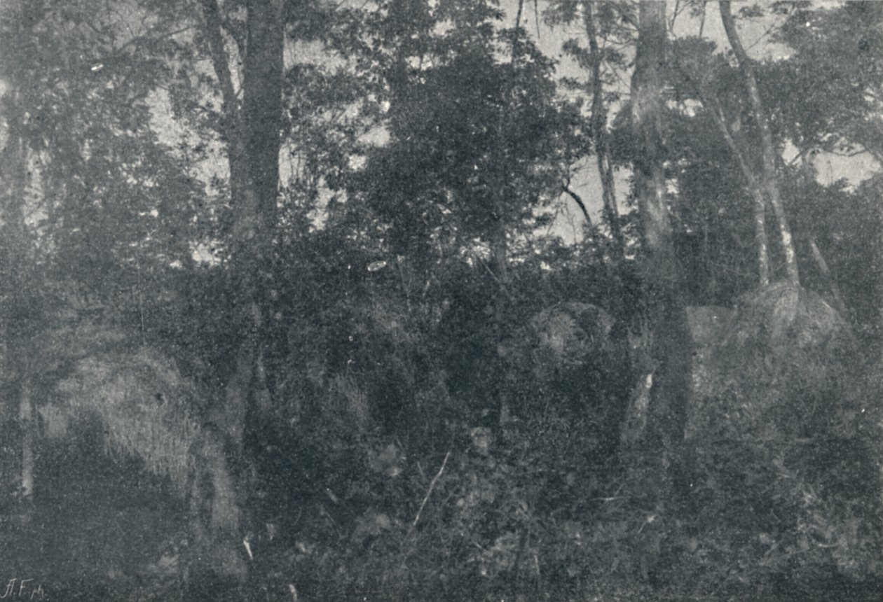 Cabanas de Indios, 1895 door Francisco Henszler