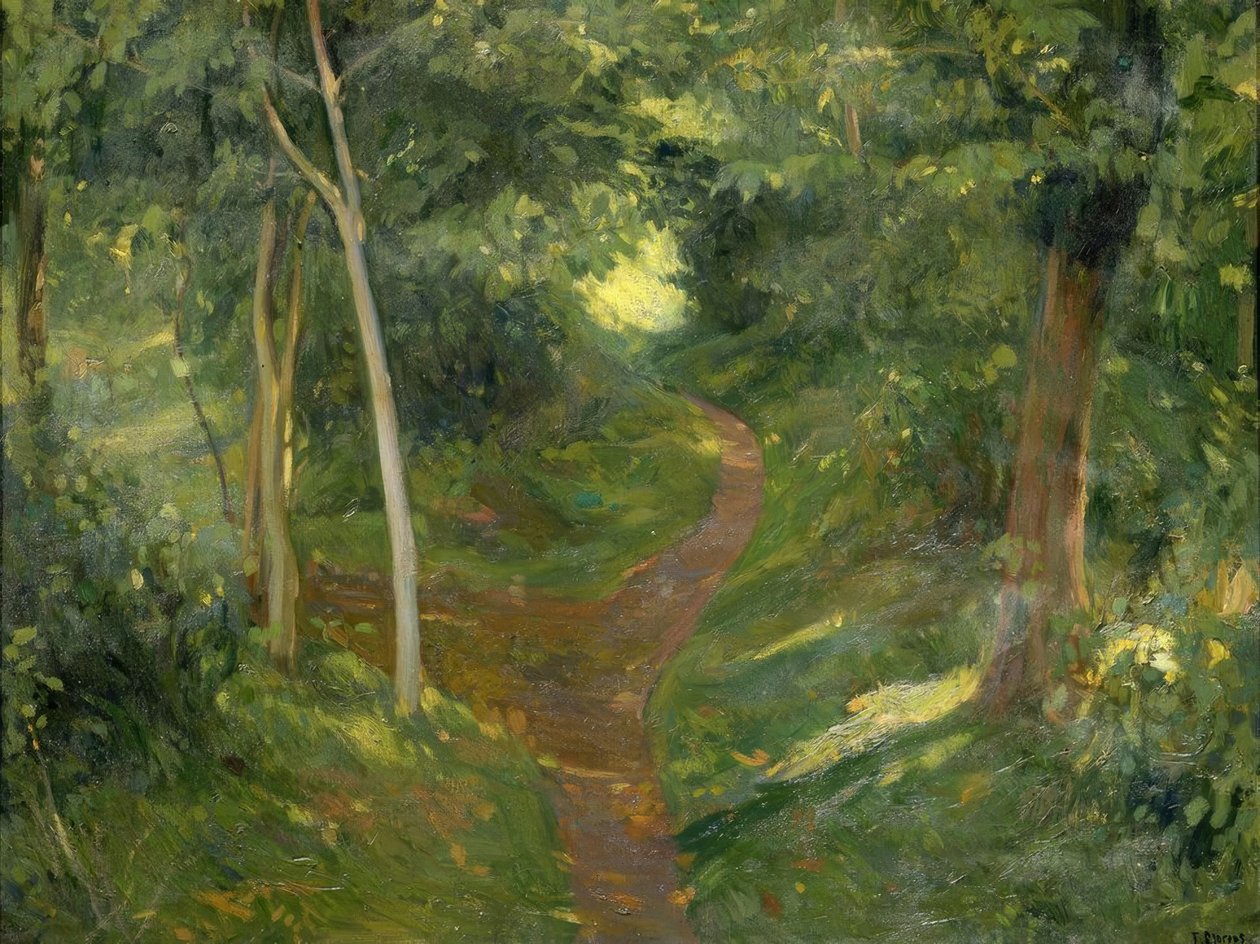Het pad door Francisco Llorens Diaz