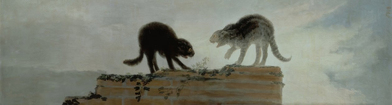 Vechtende katten door Francisco de Goya