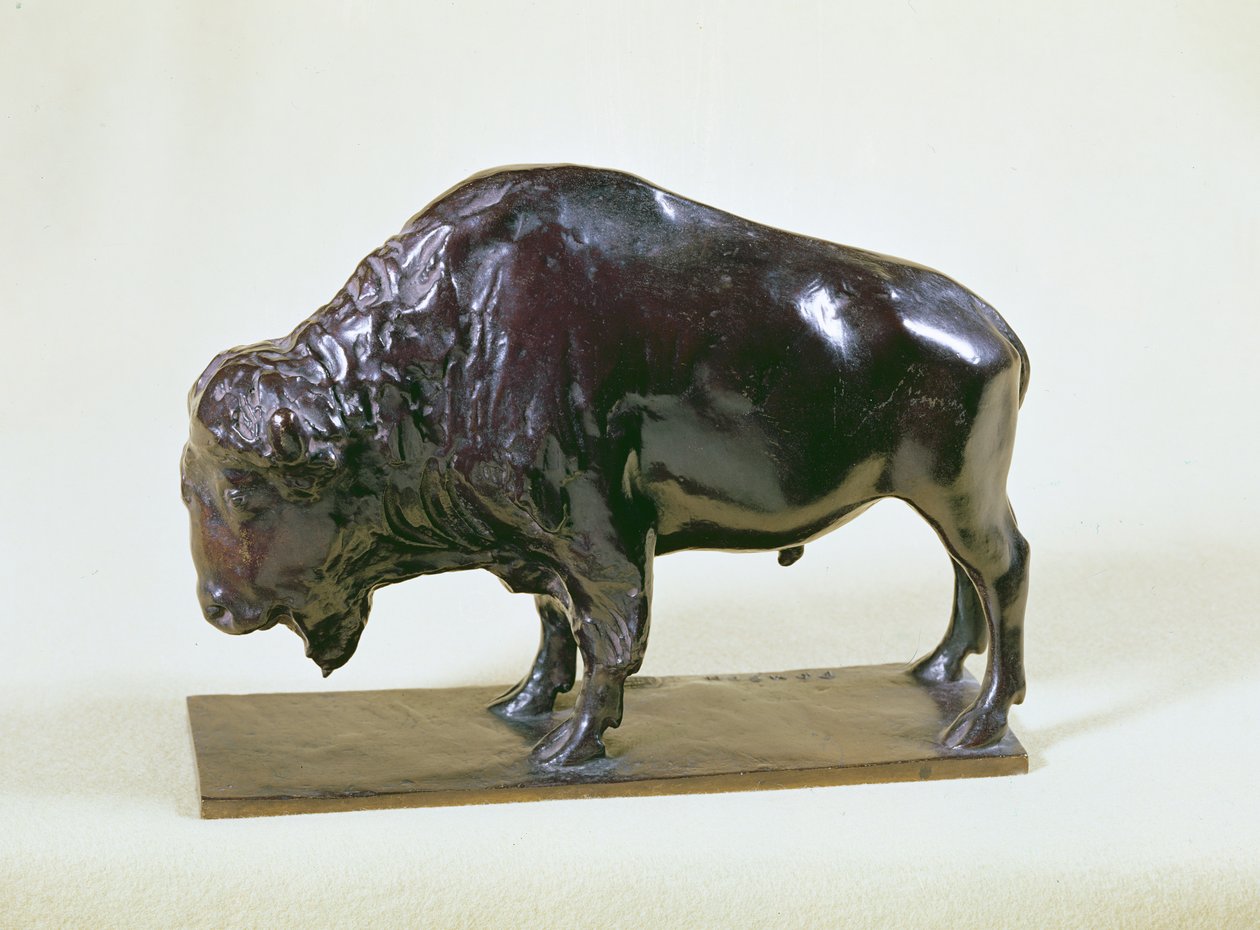Bizon, 1907 door Francois Pompon