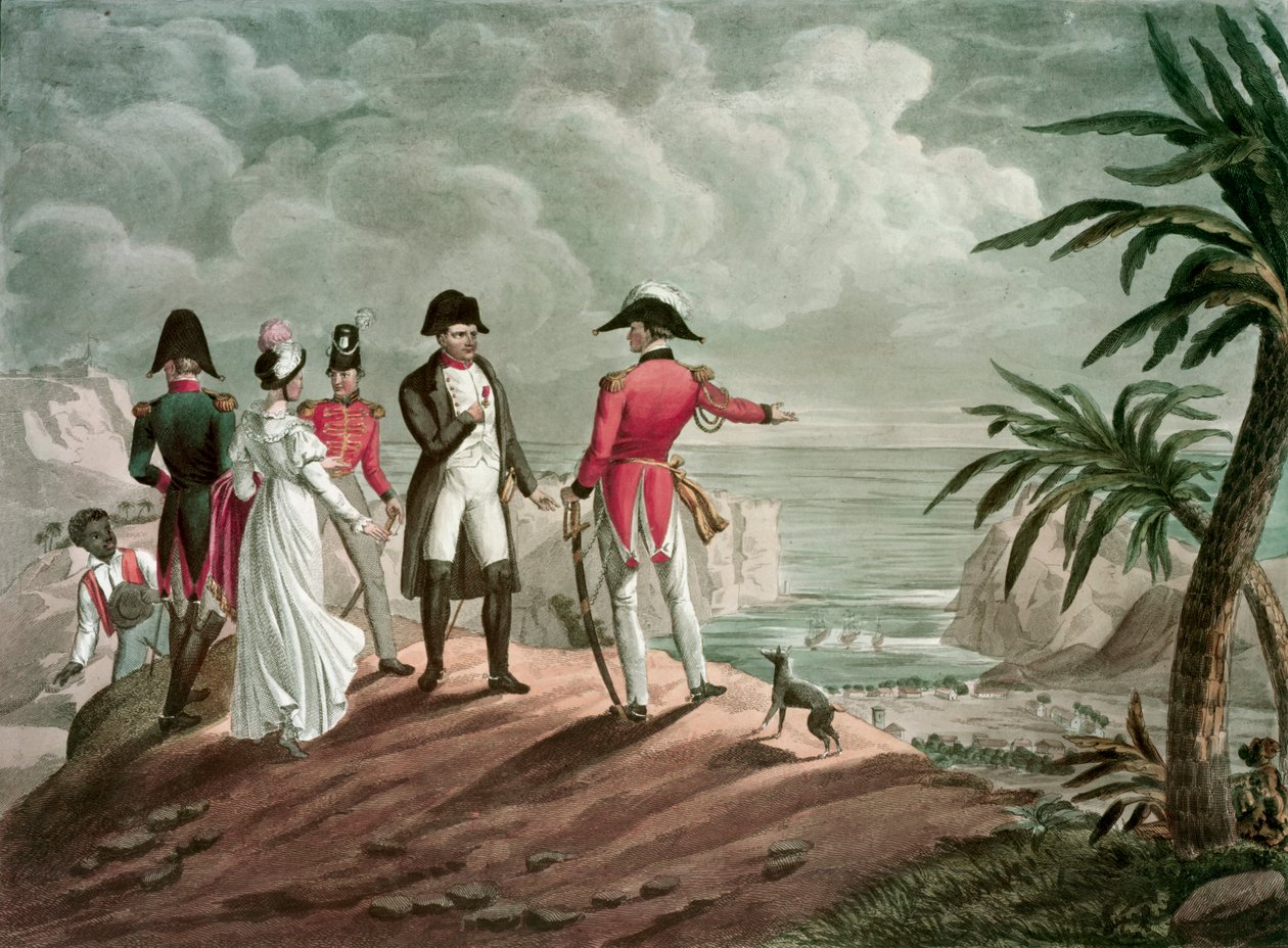 Bonaparte op Sint-Helena door Francois Nicolas Martinet