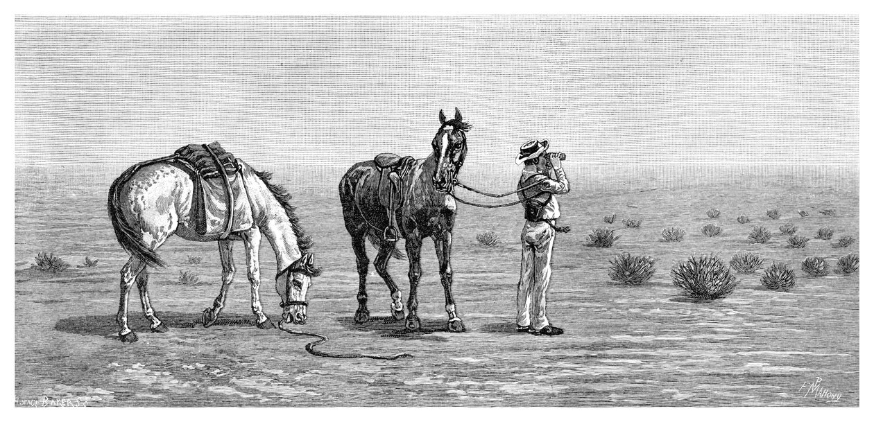 Niets in Zicht, 1886 door Frank P. Mahony