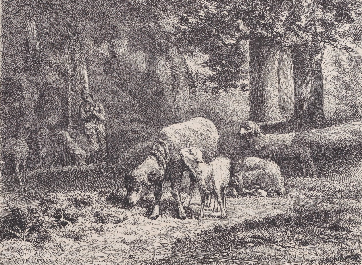 De Schapen, uit Magasin Pittoresque, 1862 door François Rouget