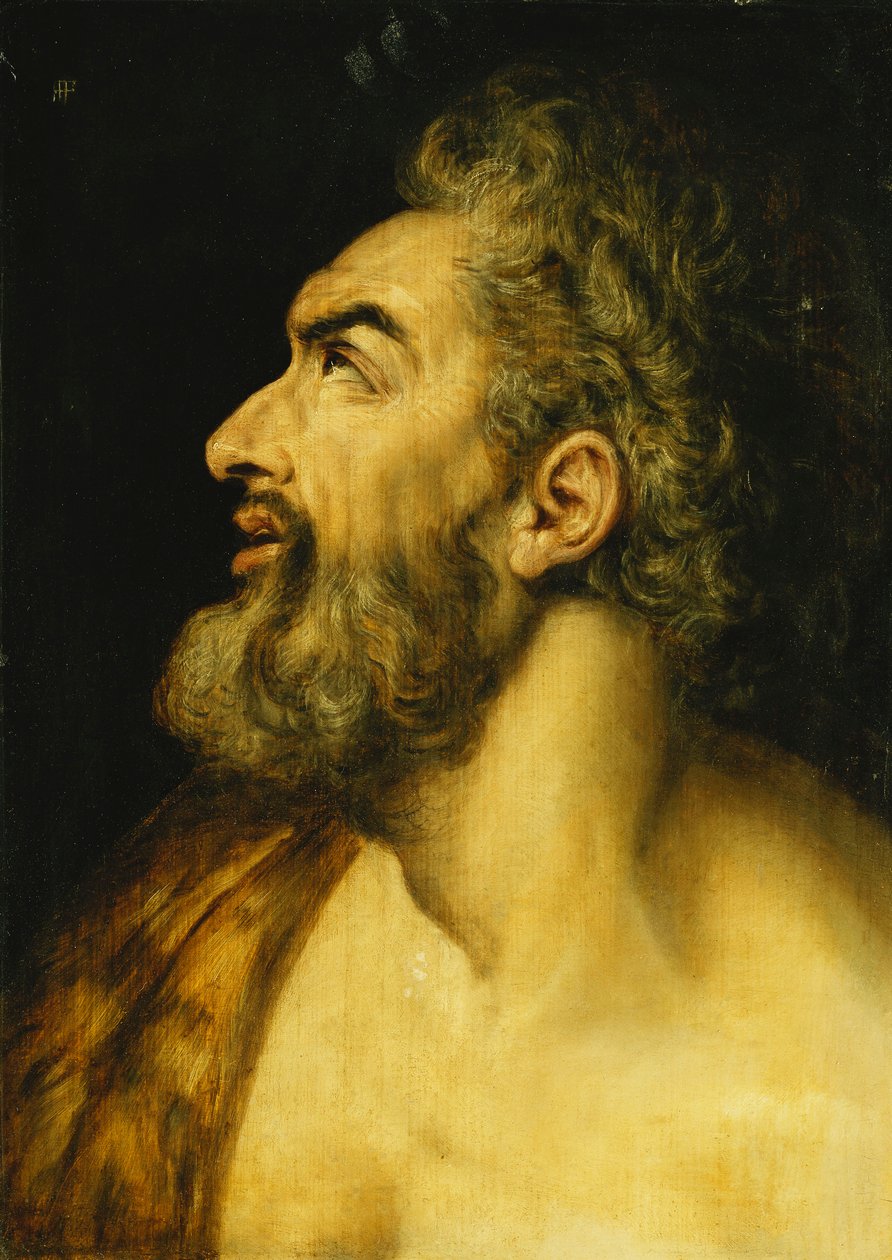 Hoofd van Johannes de Doper door Frans Floris