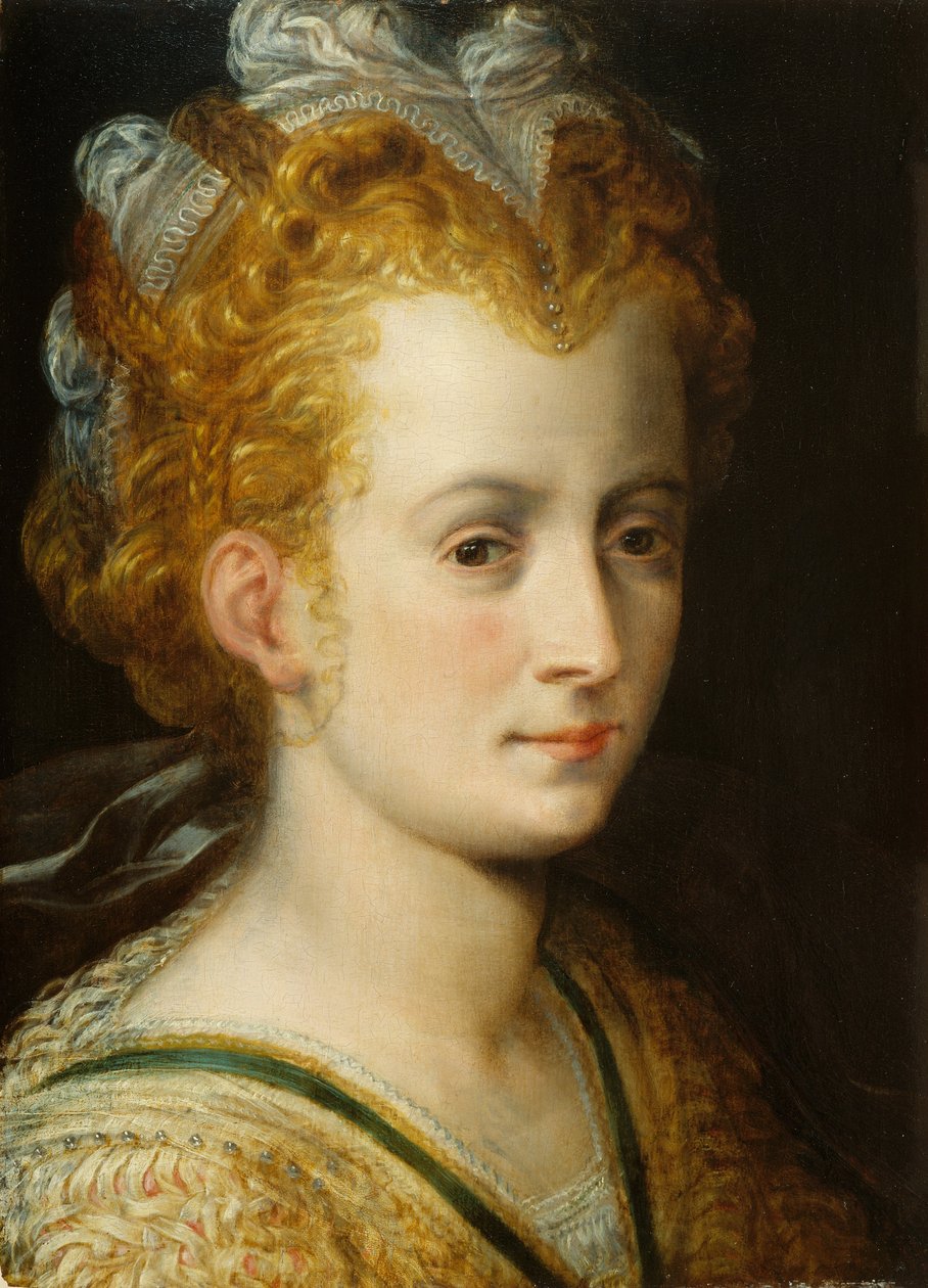 Hoofd van een jonge vrouw, c.1555 door Frans Floris