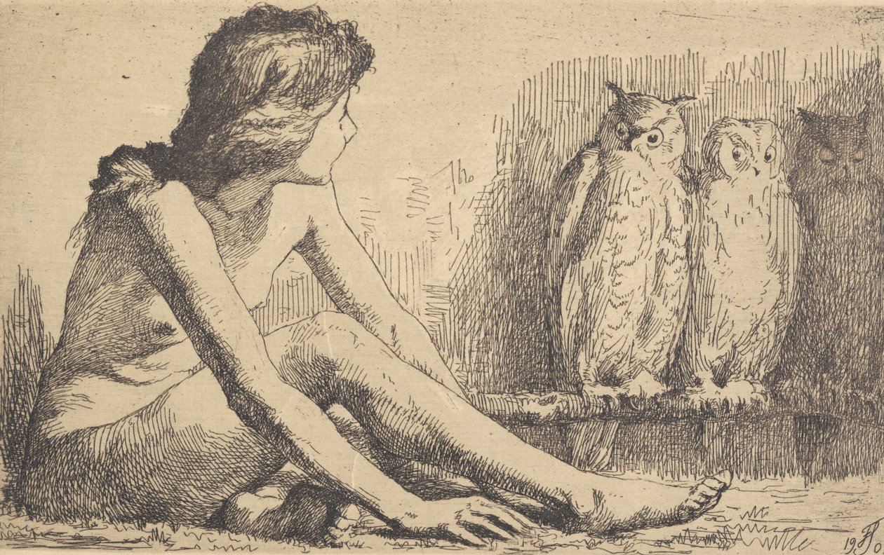 Het meisje met de uilen door Frans Schwartz