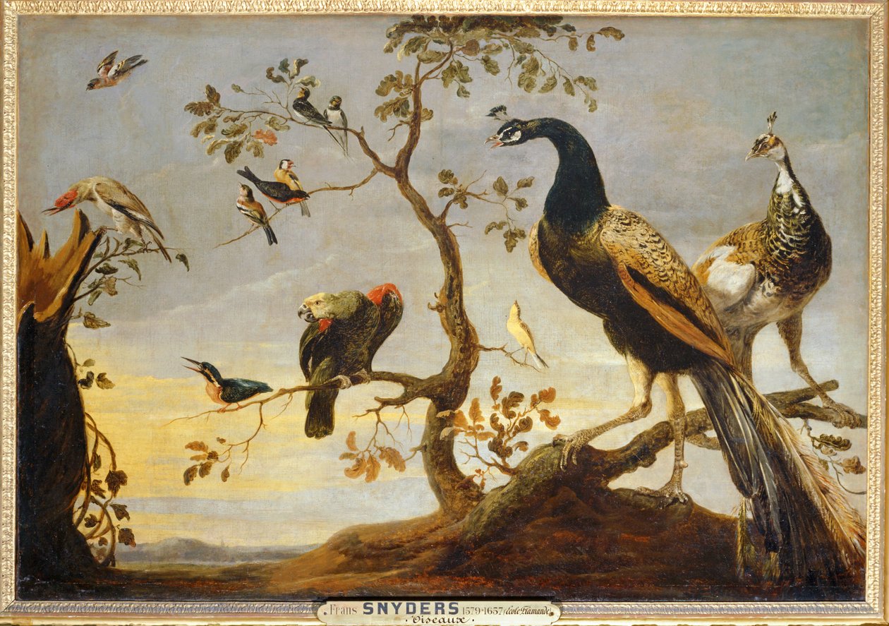 Poseaux op takken ... door Frans Snyders