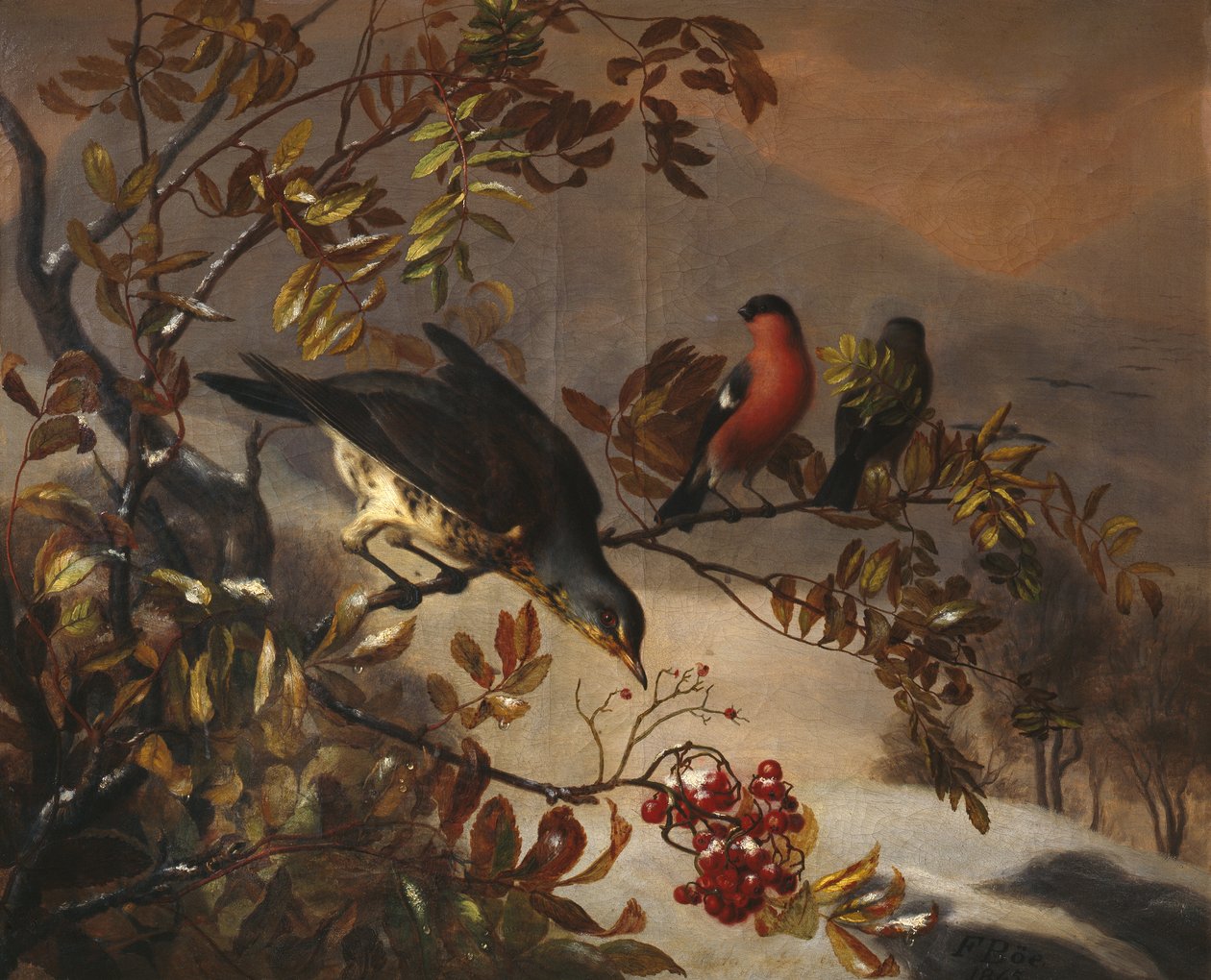 Vogels op een lijsterbes tak door Frants Diderik Boe
