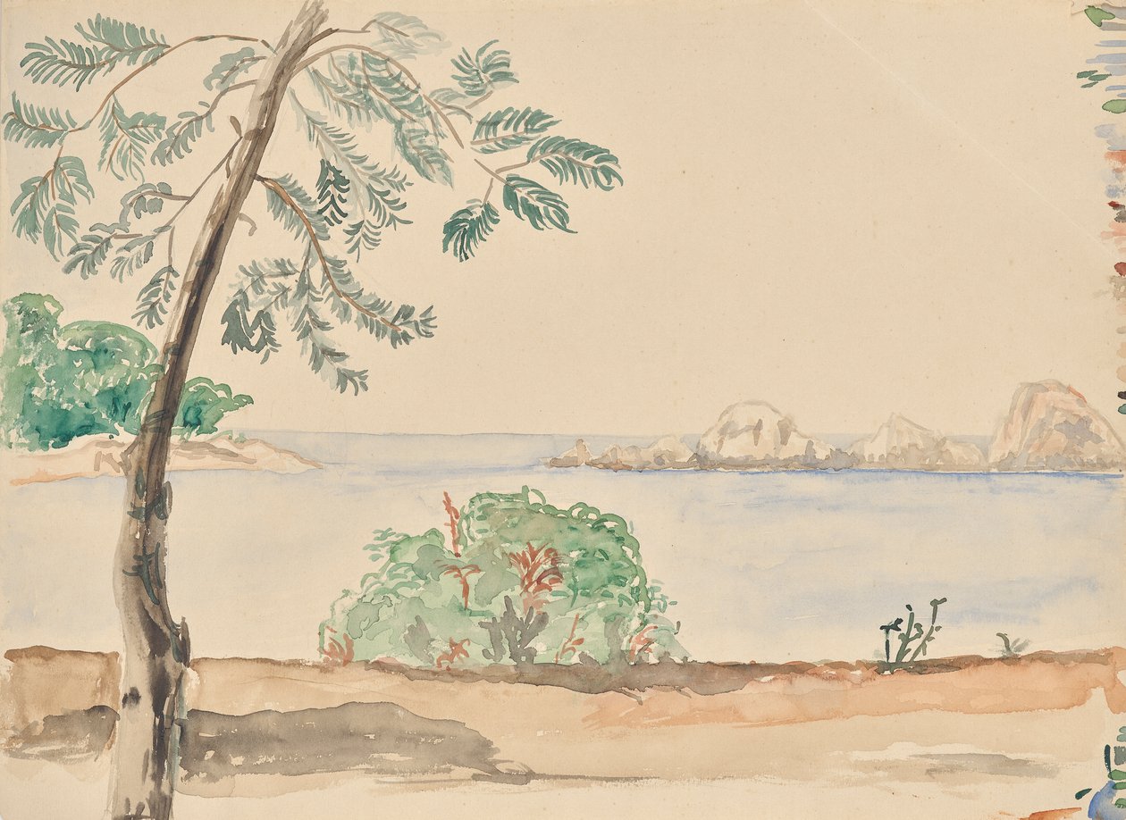 Kust in Florida (?) door Franz Barwig d. Ä.