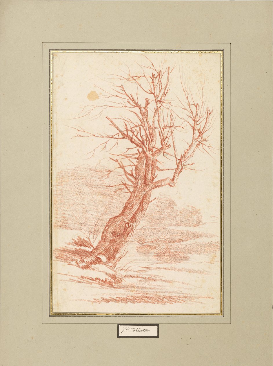Boomstudie door Franz Edmund Weirotter