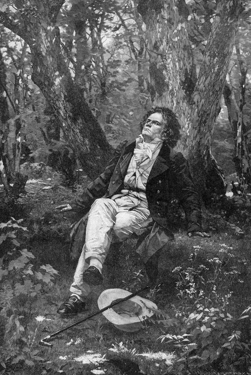 Beethoven, 1906 door Franz Hanfstaengl