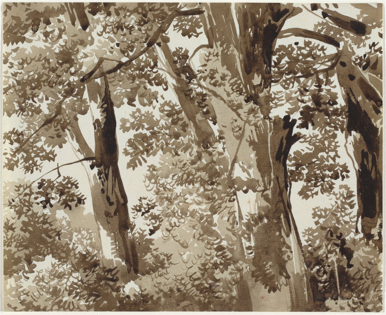 Bomen met dicht struikgewas door Franz Innocenz Josef Kobell