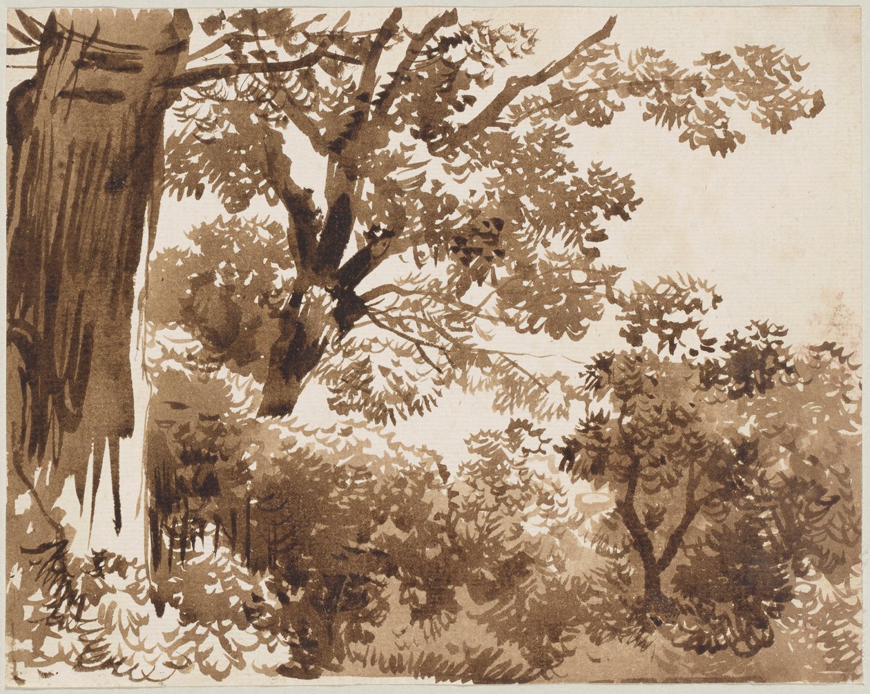 In het bos door Franz Kobell