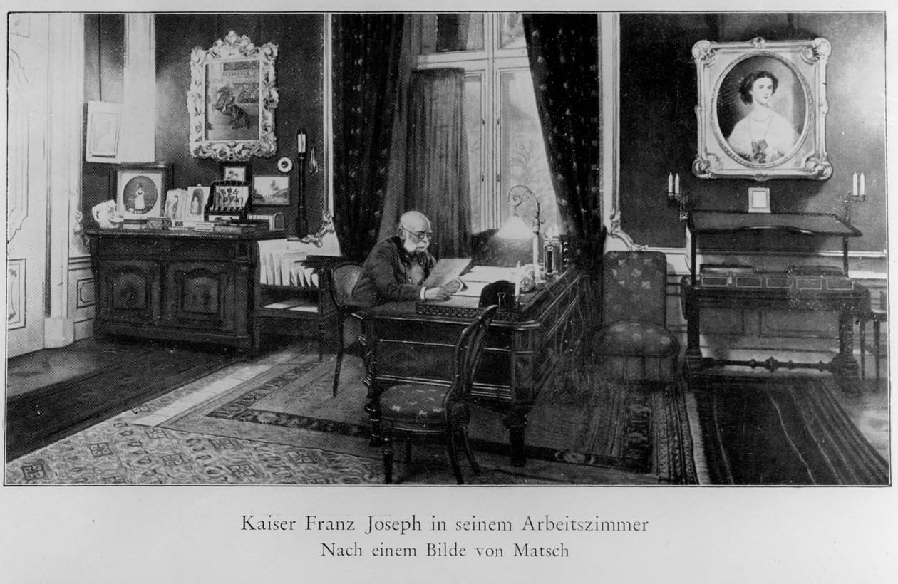Franz Joseph door Franz von Matsch