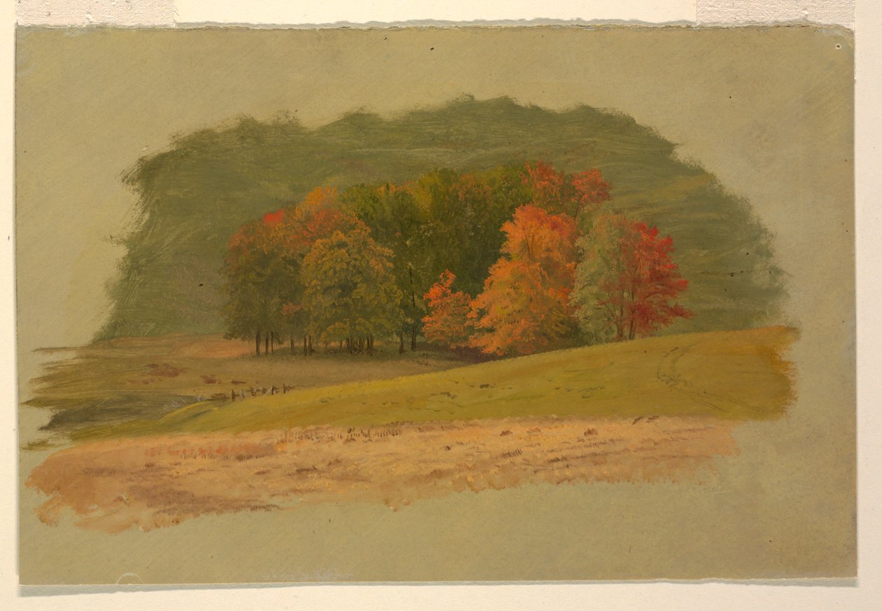 Herfstlandschap door Frederic Edwin Church